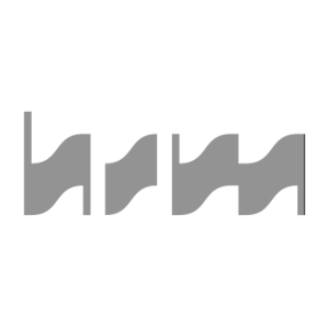 HSM
